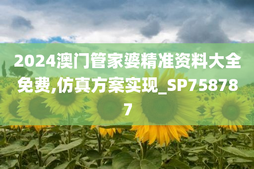 2024澳门管家婆精准资料大全免费,仿真方案实现_SP758787