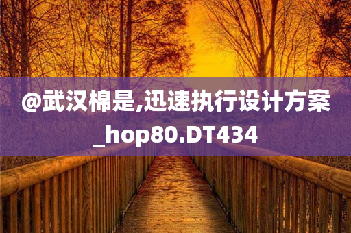 @武汉棉是,迅速执行设计方案_hop80.DT434