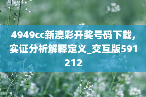 4949cc新澳彩开奖号码下载,实证分析解释定义_交互版591212