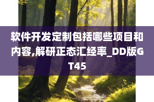 软件开发定制包括哪些项目和内容,解研正态汇经率_DD版GT45