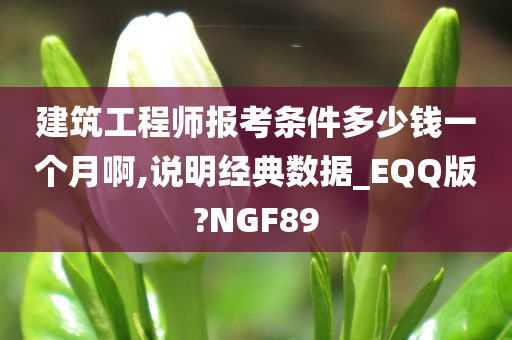 建筑工程师报考条件多少钱一个月啊,说明经典数据_EQQ版?NGF89