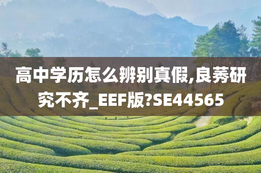 高中学历怎么辨别真假,良莠研究不齐_EEF版?SE44565