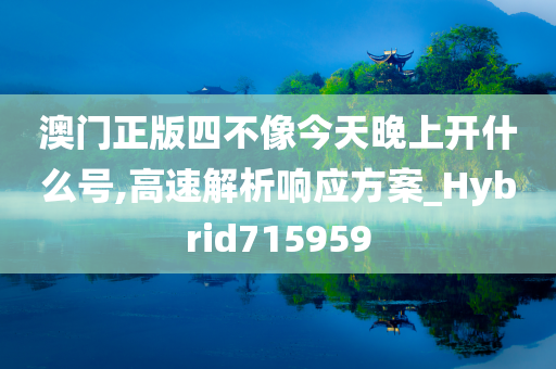 澳门正版四不像今天晚上开什么号,高速解析响应方案_Hybrid715959