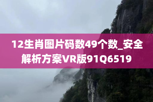 12生肖图片码数49个数_安全解析方案VR版91Q6519