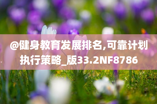 @健身教育发展排名,可靠计划执行策略_版33.2NF8786