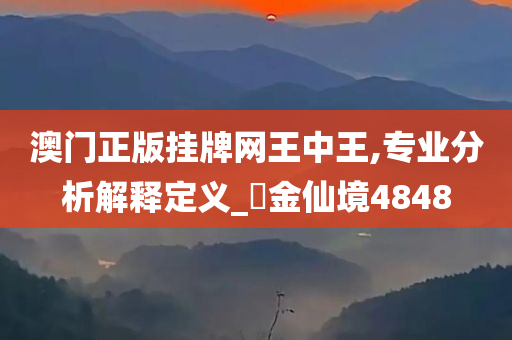 澳门正版挂牌网王中王,专业分析解释定义_?金仙境4848