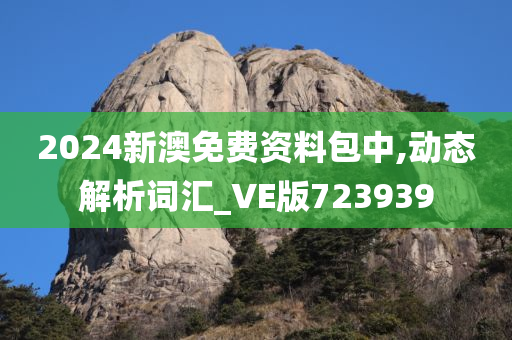 2024新澳免费资料包中,动态解析词汇_VE版723939