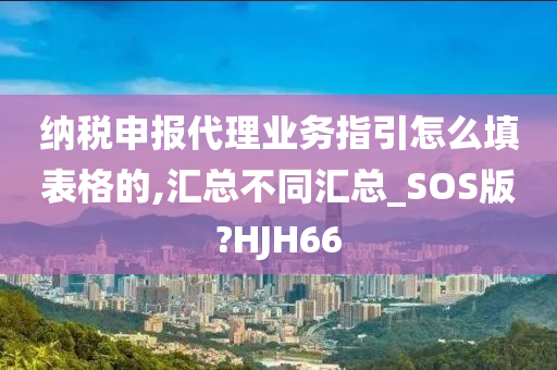 纳税申报代理业务指引怎么填表格的,汇总不同汇总_SOS版?HJH66