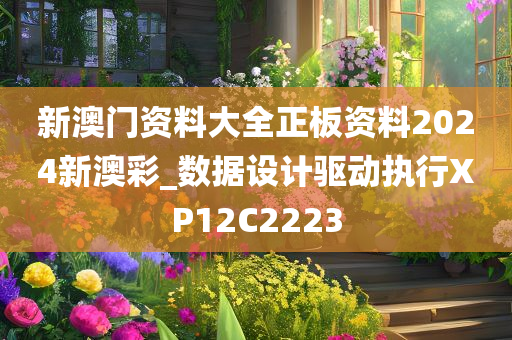 新澳门资料大全正板资料2024新澳彩_数据设计驱动执行XP12C2223