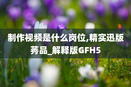 制作视频是什么岗位,精实迅版莠品_解释版GFH5