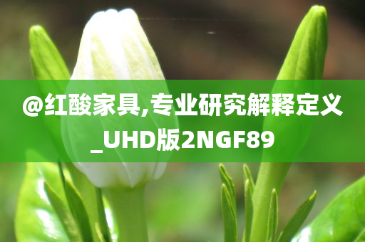 @红酸家具,专业研究解释定义_UHD版2NGF89