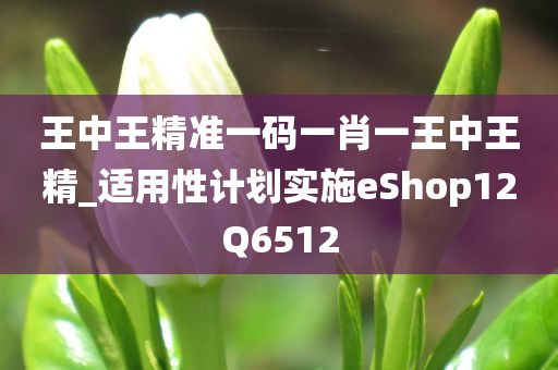 王中王精准一码一肖一王中王精_适用性计划实施eShop12Q6512