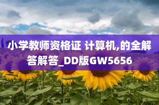 小学教师资格证 计算机,的全解答解答_DD版GW5656