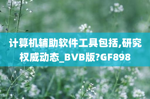 计算机辅助软件工具包括,研究权威动态_BVB版?GF898