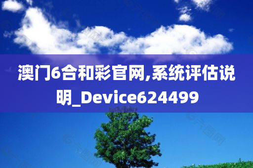 澳门6合和彩官网,系统评估说明_Device624499