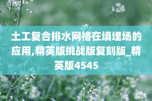 土工复合排水网格在填埋场的应用,精英版挑战版复刻版_精英版4545