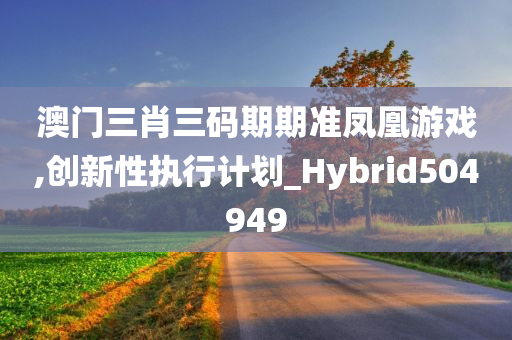 澳门三肖三码期期准凤凰游戏,创新性执行计划_Hybrid504949