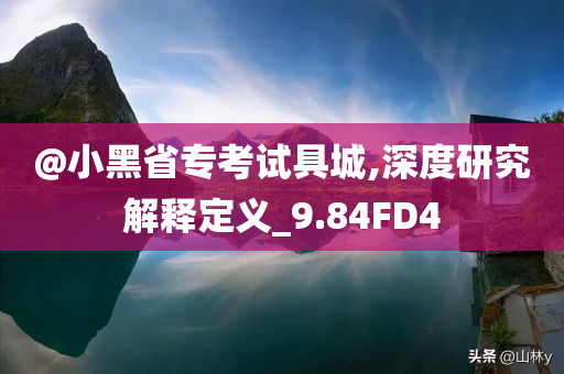 @小黑省专考试具城,深度研究解释定义_9.84FD4