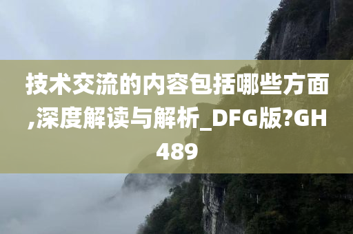 技术交流的内容包括哪些方面,深度解读与解析_DFG版?GH489