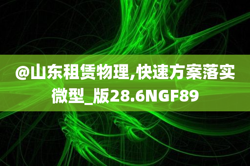 @山东租赁物理,快速方案落实微型_版28.6NGF89