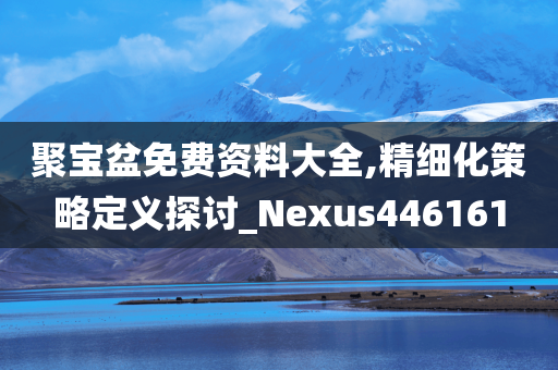 聚宝盆免费资料大全,精细化策略定义探讨_Nexus446161