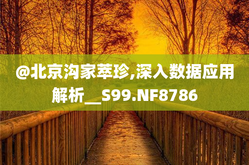 @北京沟家萃珍,深入数据应用解析__S99.NF8786