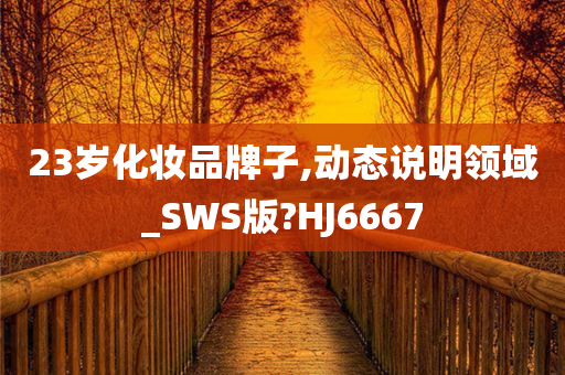 23岁化妆品牌子,动态说明领域_SWS版?HJ6667