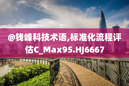 @钱峰科技术语,标准化流程评估C_Max95.HJ6667