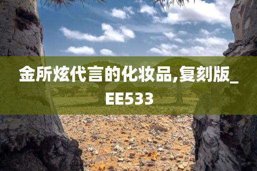 金所炫代言的化妆品,复刻版_EE533