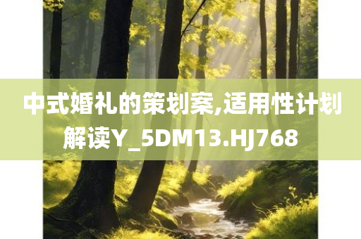 中式婚礼的策划案,适用性计划解读Y_5DM13.HJ768