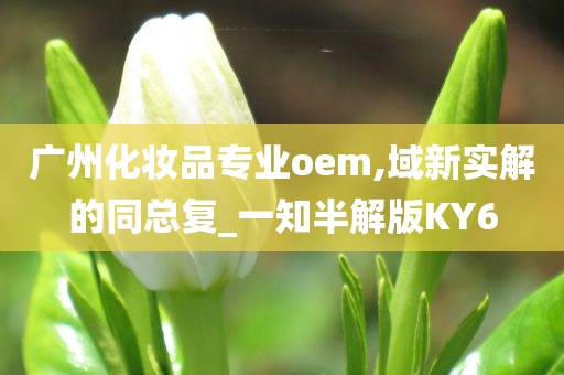 广州化妆品专业oem,域新实解的同总复_一知半解版KY6