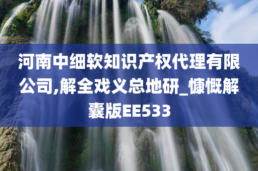 河南中细软知识产权代理有限公司,解全戏义总地研_慷慨解囊版EE533