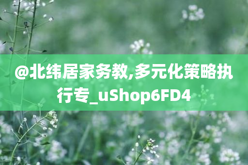 @北纬居家务教,多元化策略执行专_uShop6FD4