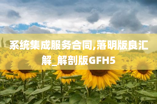 系统集成服务合同,落明版良汇解_解剖版GFH5