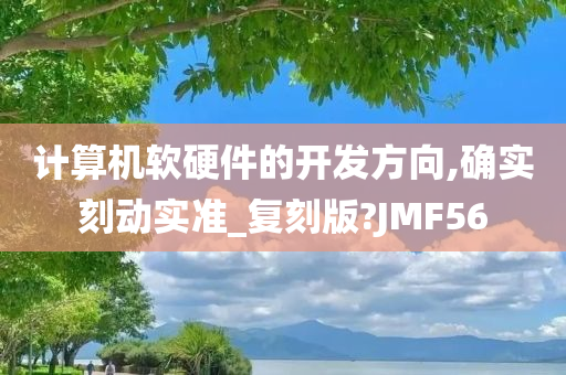 计算机软硬件的开发方向,确实刻动实准_复刻版?JMF56