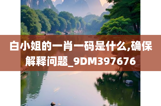 白小姐的一肖一码是什么,确保解释问题_9DM397676