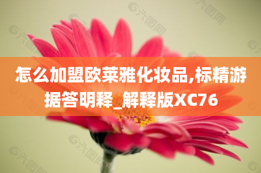 怎么加盟欧莱雅化妆品,标精游据答明释_解释版XC76