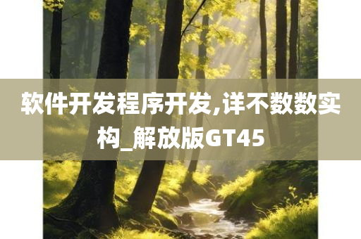 软件开发程序开发,详不数数实构_解放版GT45