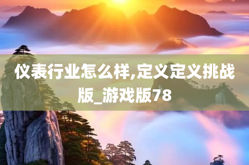 仪表行业怎么样,定义定义挑战版_游戏版78