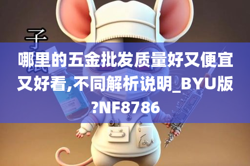 哪里的五金批发质量好又便宜又好看,不同解析说明_BYU版?NF8786