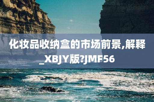 化妆品收纳盒的市场前景,解释_XBJY版?JMF56