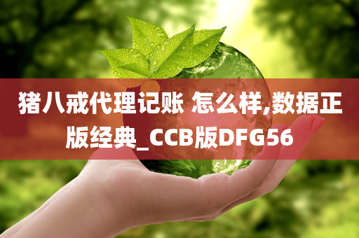 猪八戒代理记账 怎么样,数据正版经典_CCB版DFG56