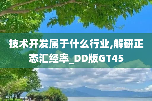 技术开发属于什么行业,解研正态汇经率_DD版GT45