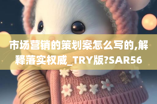 市场营销的策划案怎么写的,解释落实权威_TRY版?SAR56