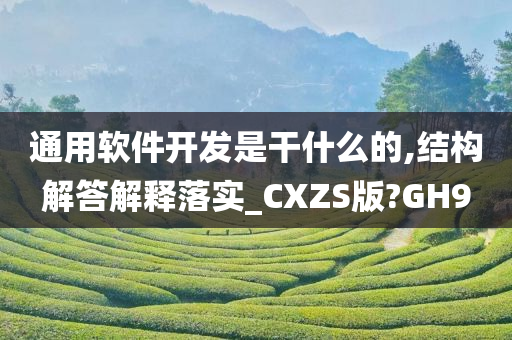 通用软件开发是干什么的,结构解答解释落实_CXZS版?GH9