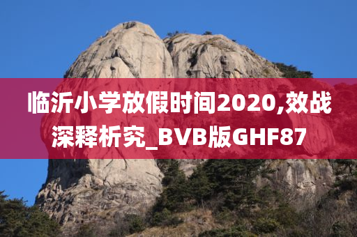 临沂小学放假时间2020,效战深释析究_BVB版GHF87