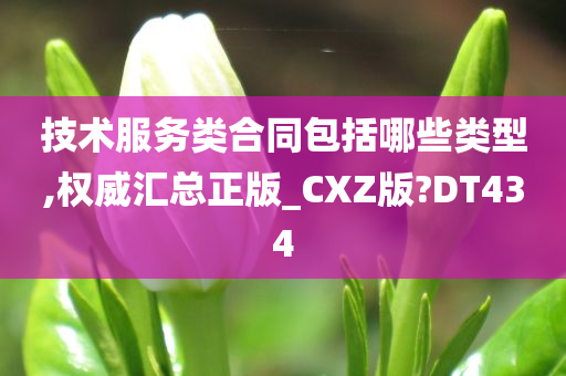 技术服务类合同包括哪些类型,权威汇总正版_CXZ版?DT434