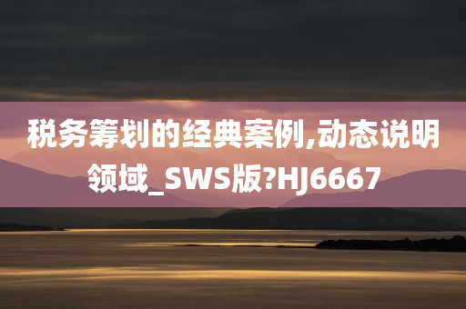 税务筹划的经典案例,动态说明领域_SWS版?HJ6667