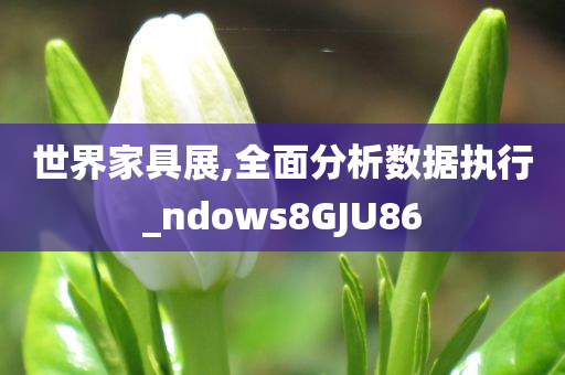 世界家具展,全面分析数据执行_ndows8GJU86