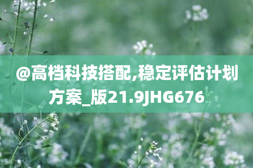 @高档科技搭配,稳定评估计划方案_版21.9JHG676